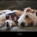 Calvin Foster Photo 16