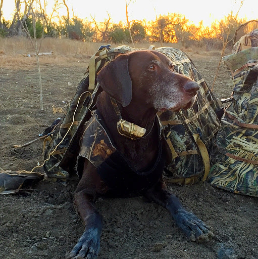 Dustin Cooper Photo 10