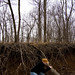 Mark Zimmerman Photo 24