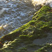 Gail Combs Photo 16