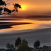 Dawn Johnston Photo 16