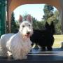 Cathy Sherman Photo 40