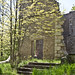 Alexander Mcneil Photo 11