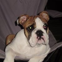 Debbie Carlson Photo 25
