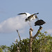 Patricia Stork Photo 9