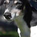 Kirby Russell Photo 15