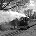 Timothy Cross Photo 44