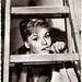 Charlie Halsey Photo 17