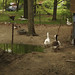 John Harnois Photo 12