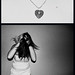 Alicia Love Photo 6