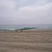 Ruthann Will Photo 8