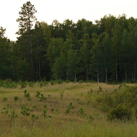 Steve Ramsey Photo 17