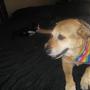 Melissa Hite Photo 31