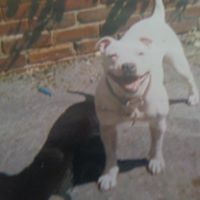 Martin Elliott Photo 35