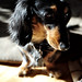 Stanley Weiner Photo 22