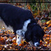 Millie Ross Photo 11