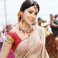 Sara Mirza Photo 14