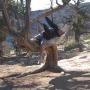 Jacob Baumann Photo 23