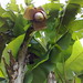 Mary Villa Photo 20