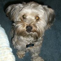 Donna Nowak Photo 15