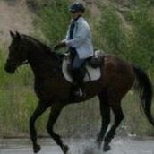 Anne Fogarty Photo 25