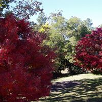 Marilyn Wolf Photo 10