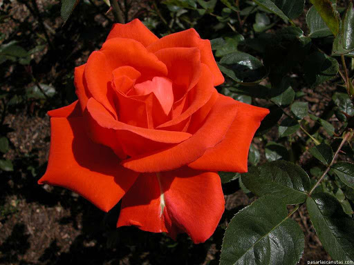 Debbie Otto Photo 30
