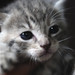 Angel Foster Photo 9