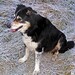 Judy Frost Photo 15