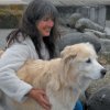 Cheryl Dailey Photo 1