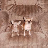 Marcy Bennett Photo 24