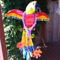 Donna Starr Photo 21