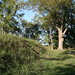 Nathan Buckner Photo 8