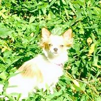 Rose Ott Photo 8