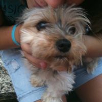 Minnie Torres Photo 4