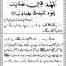 Mohammad Farooq Photo 39