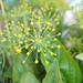 Robin Dill Photo 28