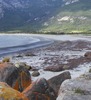 John Buller Photo 15