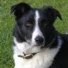 Kevin Whiting Photo 41