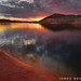 Ray Neeley Photo 12