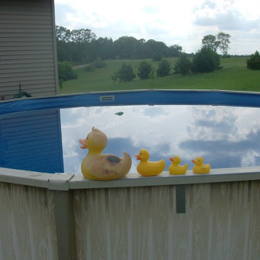 Donna Eidson Photo 15