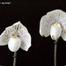 Constance Bloom Photo 10