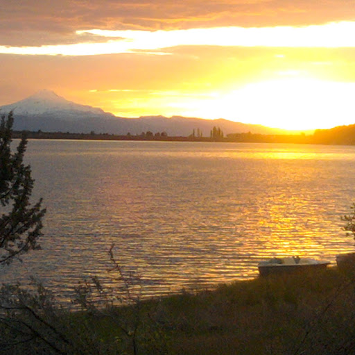 Lori Meeks Photo 9