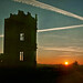 Dawn Morton Photo 17