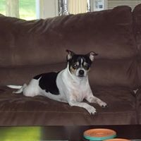 Joann Wampler Photo 3