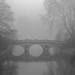 Misty Weathers Photo 13