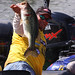 Bobby Lane Photo 29