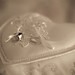 Geraldine Ring Photo 5