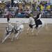 Austin Anderson Photo 17