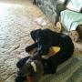 Angie Yoder Photo 14